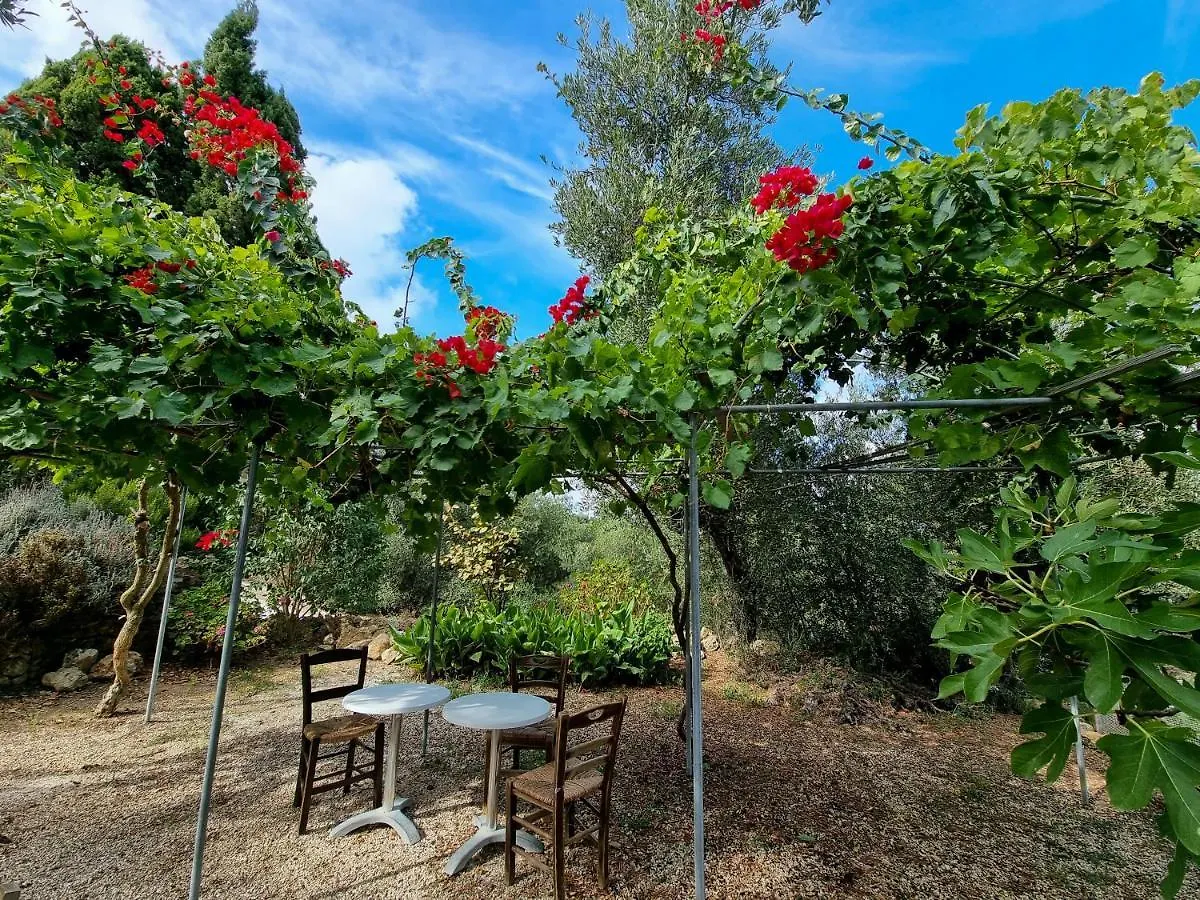 Forestata Village Kouvalata Grecia