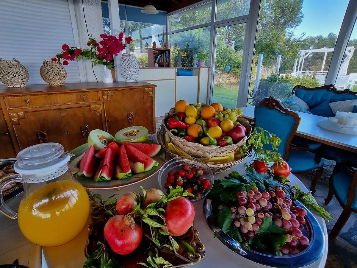 Apartment Forestata Village Kouvalata Greece